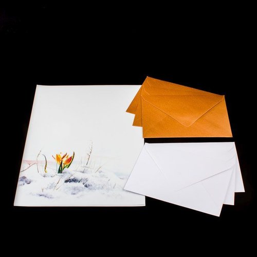 Briefpapier - 10 Briefblätter / 6 Umschläge 3x weiss 3x kupfer-rose - P-BP-009