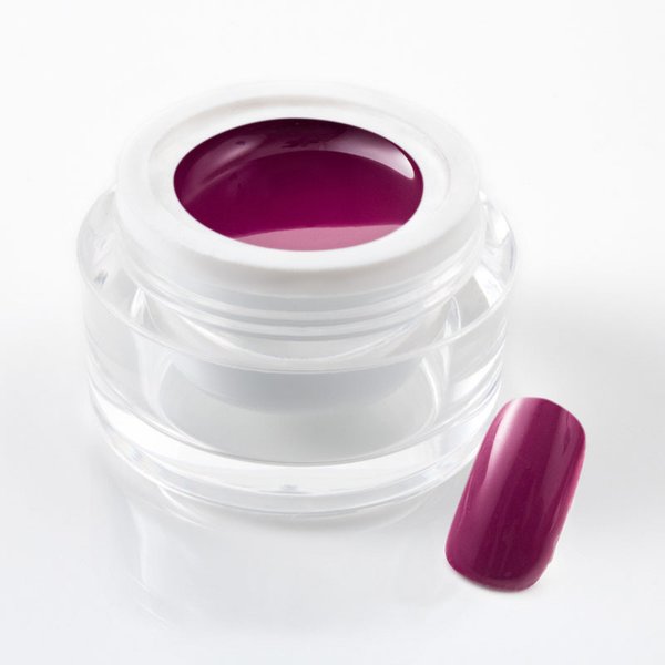 5 ml UV Colorgel / Farbgel / Purgel - Pur Bordeaux-Violett - 107-055 6/12