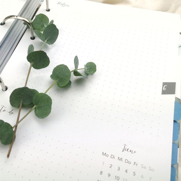 Kalender „Eucalyptus“ - Dein Jahresplaner 2020 – Leg einfach los, er passt sich dir an!